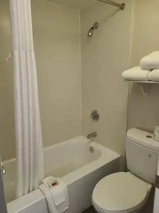 Deluxe Oda, 2 Çift Kişilik Yatak