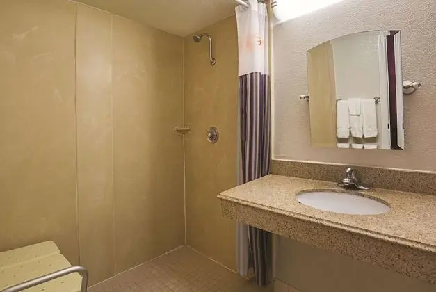 Oda, 1 En Büyük (King) Boy Yatak, Engellilere Uygun (Mobility/Hearing, Roll-In Shower)