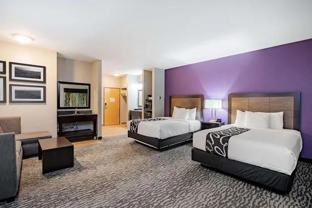 Deluxe Oda, 2 Büyük (Queen) Boy Yatak, Sigara İçilmez (Deluxe Executive Room)