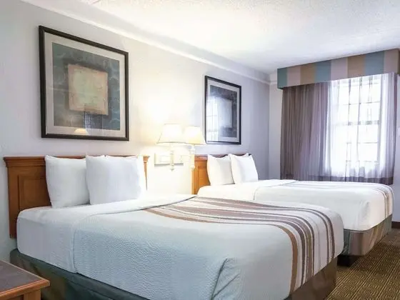 Deluxe Oda, 2 Çift Kişilik Yatak