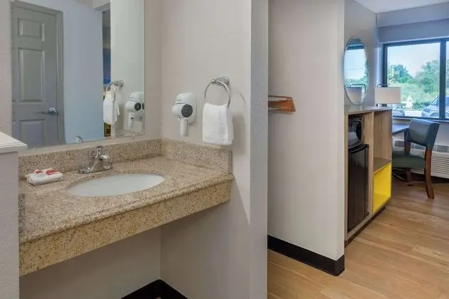 Oda, 1 Çift Kişilik Yatak, Engellilere Uygun, Sigara İçilmez (Mobility Accessible, Roll In Shower)