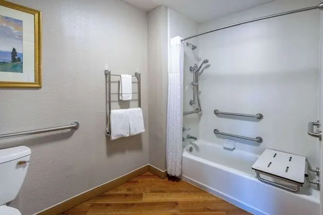 Oda, 1 Çift Kişilik Yatak, Engellilere Uygun, Sigara İçilmez (Mobility Accessible, Roll In Shower)