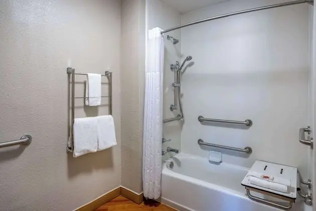 Oda, 1 Çift Kişilik Yatak, Engellilere Uygun, Sigara İçilmez (Mobility Accessible, Roll In Shower)
