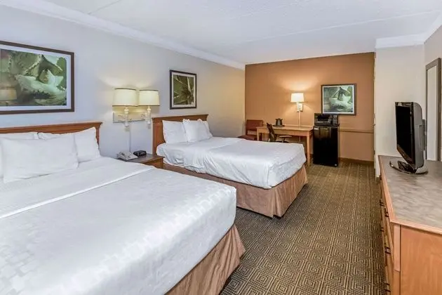 Deluxe Oda, 2 Çift Kişilik Yatak, Sigara İçilebilir