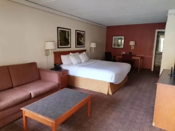 Deluxe Süit, Birden Çok Yatak, Sigara İçilmez (Deluxe Family Suite)