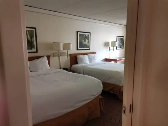 Deluxe Süit, Birden Çok Yatak, Sigara İçilmez (Deluxe Family Suite)