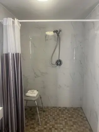 Deluxe Oda, 1 En Büyük (King) Boy Yatak, Engellilere Uygun, Sigara İçilmez (Roll-In Shower)