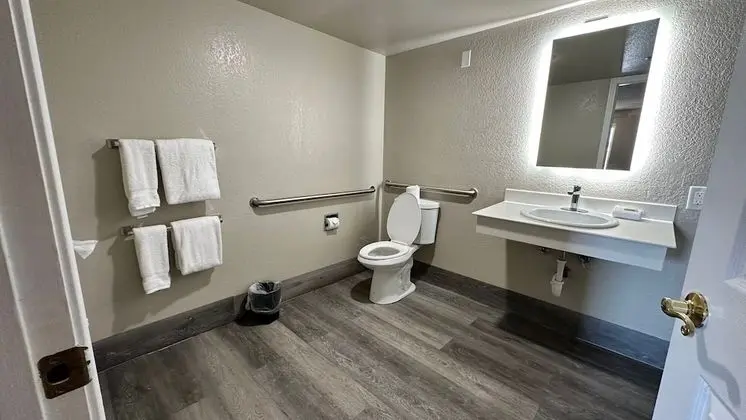 Oda, 1 En Büyük (King) Boy Yatak, Engellilere Uygun, Sigara İçilmez (Mobility Accessible)