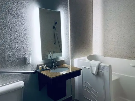 Oda, 1 En Büyük (King) Boy Yatak, Engellilere Uygun, Sigara İçilmez (Mobility, Walk-In Shower)