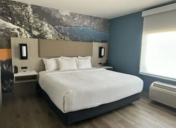Süit, 1 Yatak Odası, Sigara İçilmez (1 King Bed)