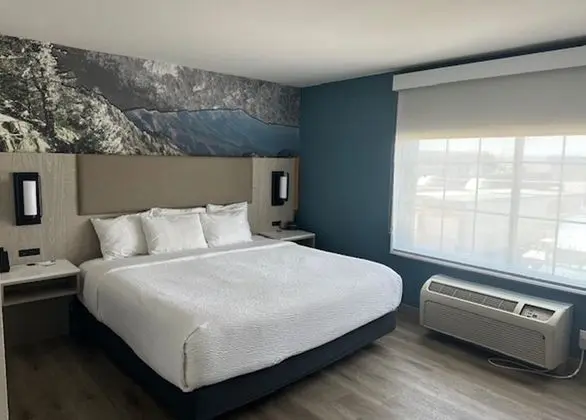 Süit, 1 Yatak Odası, Sigara İçilmez (1 King Bed)