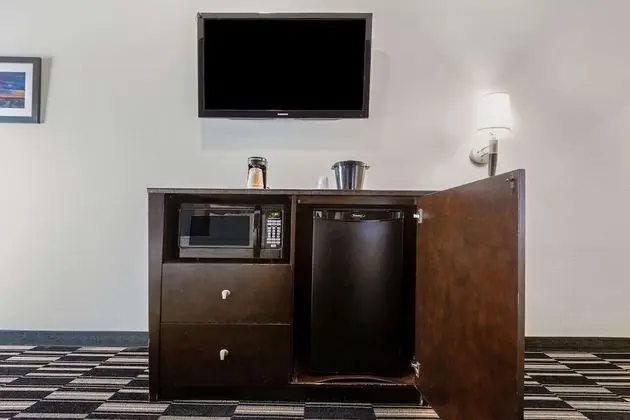 Deluxe Oda, 1 En Büyük (King) Boy Yatak, Sigara İçilmez