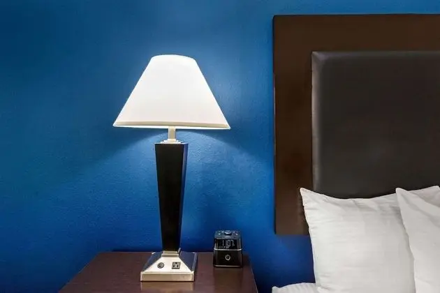 Deluxe Süit, 1 Yatak Odası, Sigara İçilmez