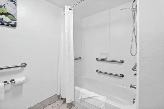Oda, 1 En Büyük (King) Boy Yatak, Engellilere Uygun, Sigara İçilmez (Tub with Grab Bars)