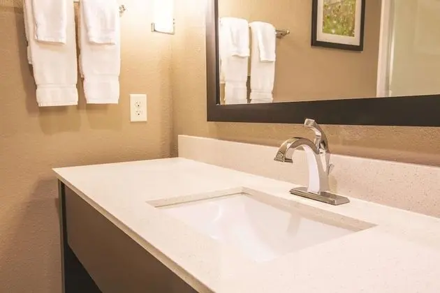Deluxe Oda, 1 En Büyük (King) Boy Yatak, Sigara İçilmez (Deluxe Executive Room)