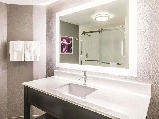 Deluxe Süit, 1 En Büyük (King) Boy Yatak, Sigara İçilmez (Executive)
