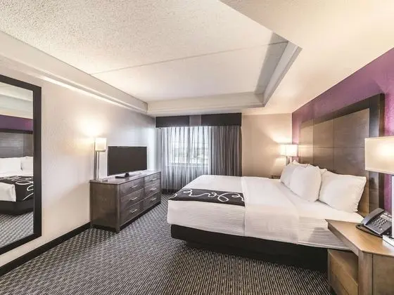 Deluxe Süit, 1 En Büyük (King) Boy Yatak, Sigara İçilmez (Executive)
