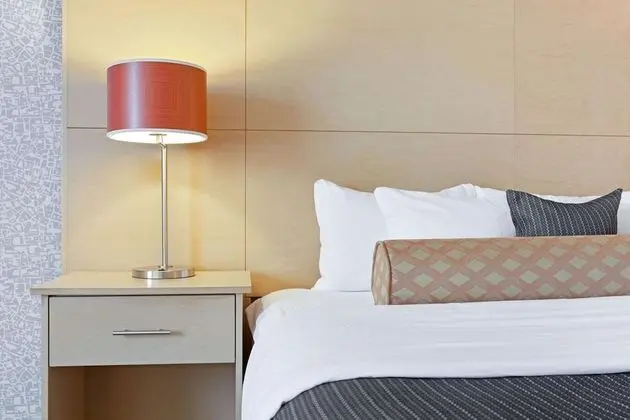 Deluxe Oda, 1 En Büyük (King) Boy Yatak, Sigara İçilmez (Deluxe Executive Room)