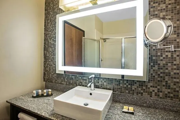 Deluxe Oda, 1 En Büyük (King) Boy Yatak, Sigara İçilmez (Deluxe Executive Room)