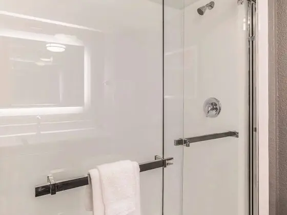 Oda, 2 Çift Kişilik Yatak, Engellilere Uygun, Sigara İçilmez (Roll-In Shower)