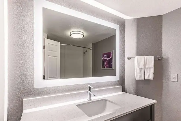 Oda, 2 Çift Kişilik Yatak, Engellilere Uygun, Sigara İçilmez (Roll-In Shower)