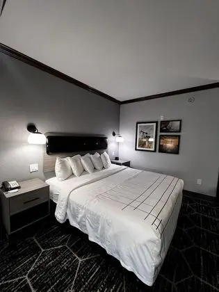 Deluxe Oda, 1 En Büyük (King) Boy Yatak, Sigara İçilmez (Deluxe Executive Room)