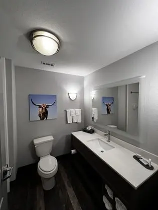 Deluxe Oda, 1 En Büyük (King) Boy Yatak, Sigara İçilmez (Deluxe Executive Room)