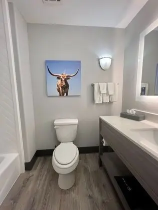 Deluxe Oda, 1 En Büyük (King) Boy Yatak, Sigara İçilmez (Deluxe Executive Room)
