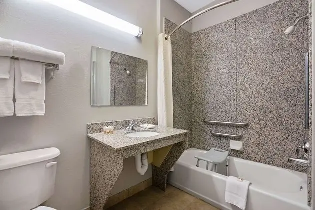Deluxe Oda, 1 En Büyük (King) Boy Yatak, Sigara İçilmez (Tub with Grab Bars)