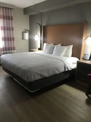 Süit, 1 En Büyük (King) Boy Yatak, Engellilere Uygun, Sigara İçilmez (Mobility Accessible)