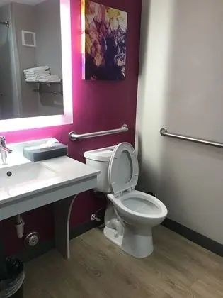 Süit, 1 En Büyük (King) Boy Yatak, Engellilere Uygun, Sigara İçilmez (Mobility Accessible)