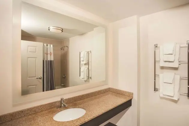 Oda, 1 En Büyük (King) Boy Yatak, Engellilere Uygun, Sigara İçilmez (Bathtub w/ Grab Bars)