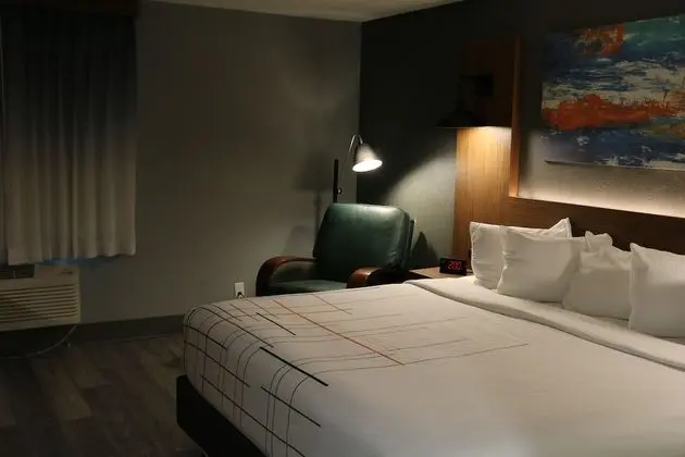 Oda, 1 En Büyük (King) Boy Yatak, Sigara İçilmez (Pet-Friendly)