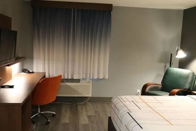 Oda, 1 En Büyük (King) Boy Yatak, Sigara İçilmez (Pet-Friendly)