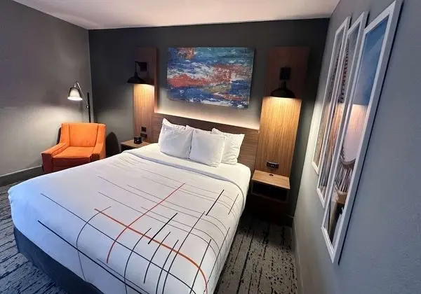 Oda, 1 En Büyük (King) Boy Yatak, Sigara İçilmez (Pet-Friendly)