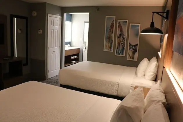 Oda, 2 Büyük (Queen) Boy Yatak, Sigara İçilmez (Pet-Friendly)