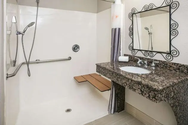 Deluxe Süit, 1 En Büyük (King) Boy Yatak, Engellilere Uygun, Sigara İçilmez (Tub with Grab Bars)