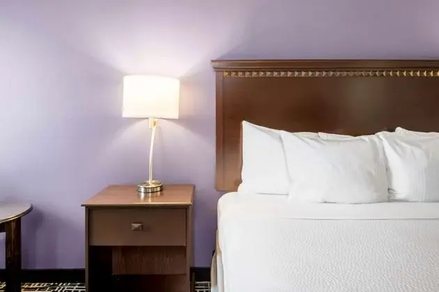 Deluxe Oda, 1 En Büyük (King) Boy Yatak, Sigara İçilmez (Deluxe Executive Room)