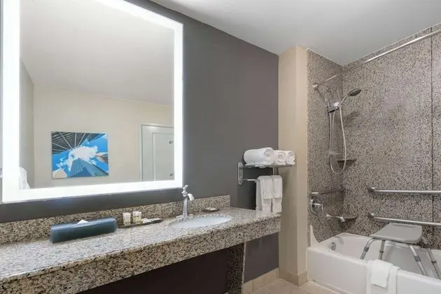Oda, 1 En Büyük (King) Boy Yatak, Engellilere Uygun (Mobility,Hearing,Tub w/Grab Bars)