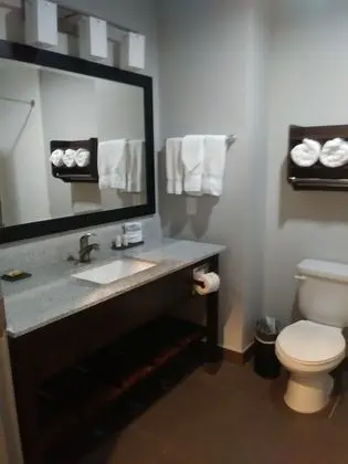 Oda, 1 En Büyük (King) Boy Yatak, Engellilere Uygun, Sigara İçilmez (Tub with Grab Bars)