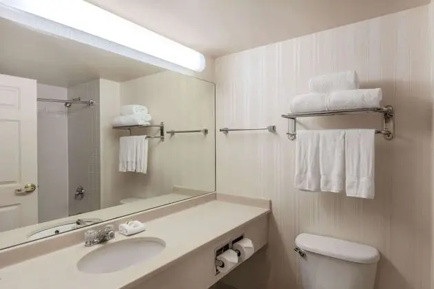 Deluxe Stüdyo Süit, 1 En Büyük (King) Boy Yatak, Sigara İçilmez (Family)