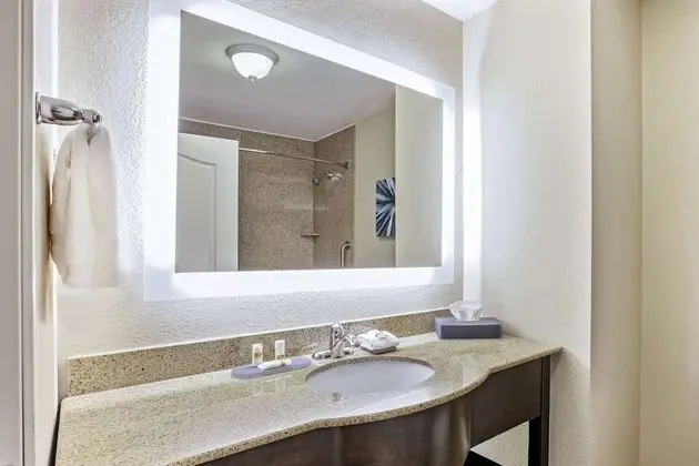 Stüdyo Süit, 1 En Büyük (King) Boy Yatak, Engellilere Uygun (Mobility,Hearing,Tub w/Grab Bars)