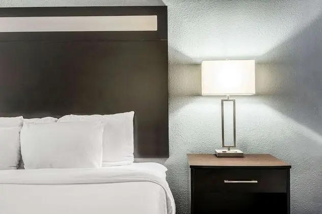 Presidential Süit, 1 En Büyük (King) Boy Yatak