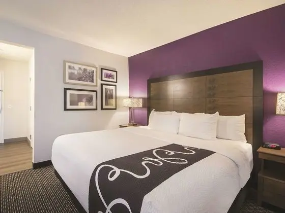 Deluxe Süit, 1 En Büyük (King) Boy Yatak ve Çekyat, Sigara İçilmez (2 Room)