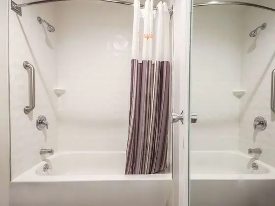Deluxe Süit, 1 En Büyük (King) Boy Yatak ve Çekyat, Sigara İçilmez (2 Room)