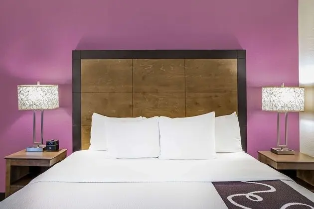 Deluxe Süit, 1 En Büyük (King) Boy Yatak ve Çekyat, Sigara İçilmez (2 Room)