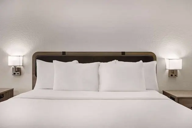Deluxe Stüdyo Süit, 1 En Büyük (King) Boy Yatak, Sigara İçilmez