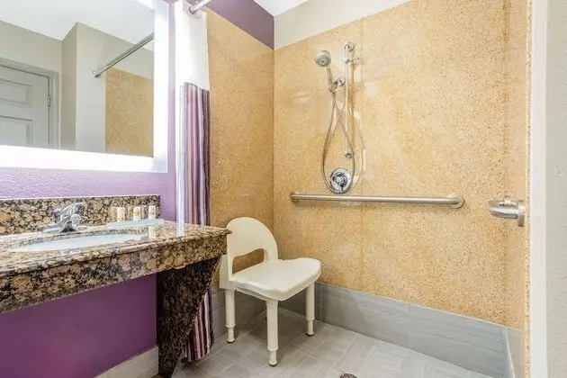 Oda, 1 En Büyük (King) Boy Yatak, Engellilere Uygun (Mobility/Hearing, Roll-In Shower)