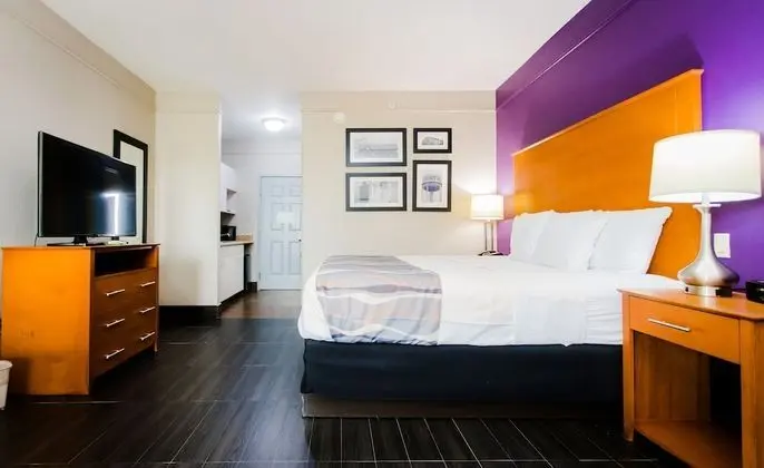 Deluxe Stüdyo Süit