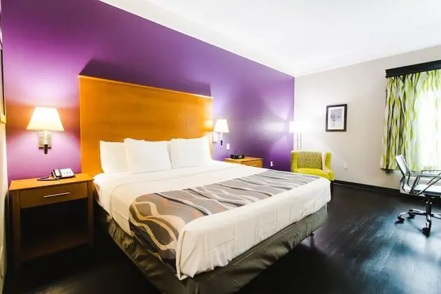 Deluxe Stüdyo Süit